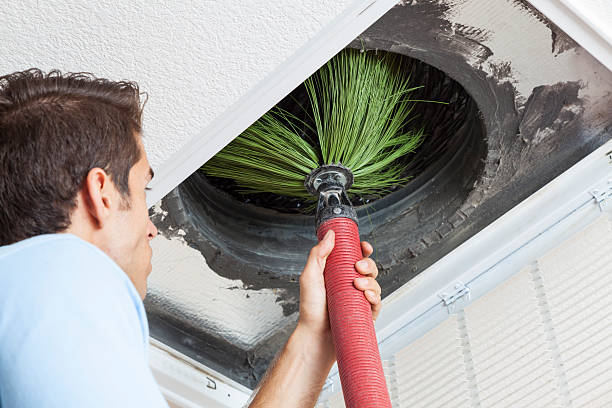 Best Professional Duct Cleaning Services  in Swift Trail Junction, AZ